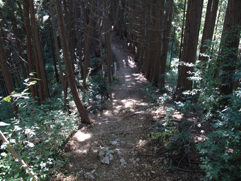 20171026hike (115)